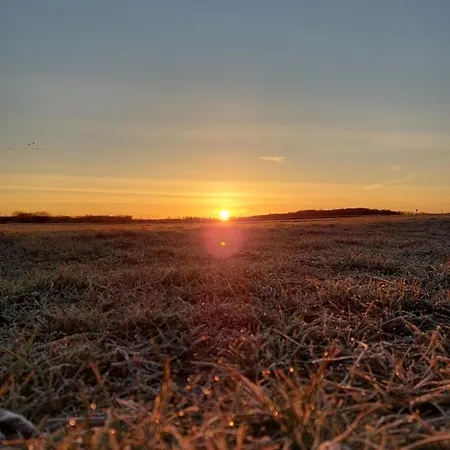 Hyggelige Und Zentrale