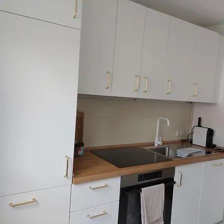 Apartment Hyggelige Und Zentrale