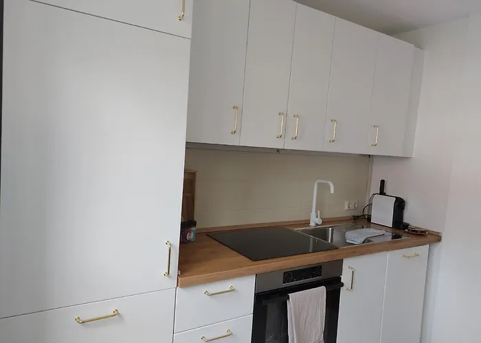 Apartment Hyggelige Und Zentrale
